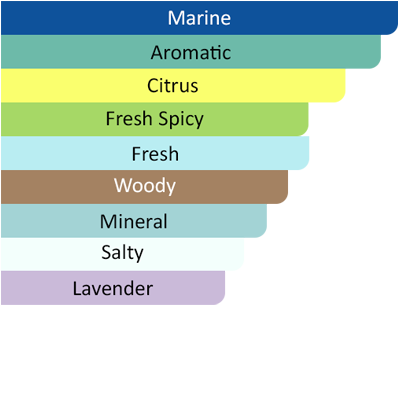 acqua di gio profondo accords