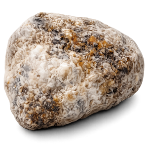 ambergris