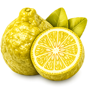 bergamot