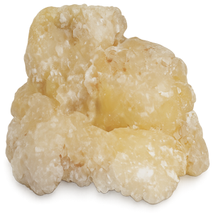 elemi resin