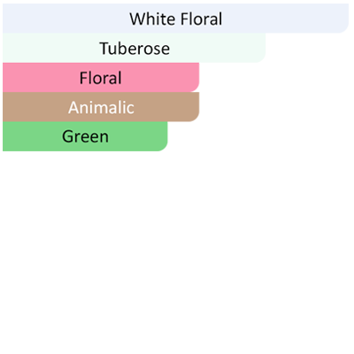 gucci bloom accords