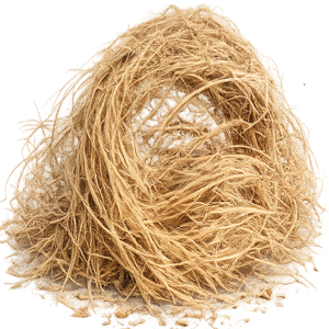 haitian vetiver