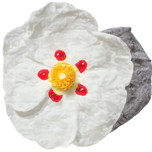 labdanum
