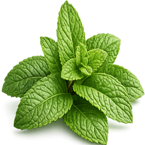 mint
