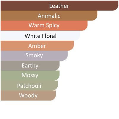 ombre leather accords