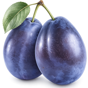 plum