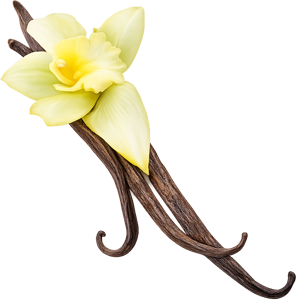 vanilla