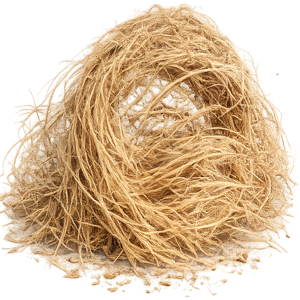 vetiver