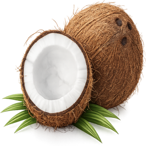 coconut