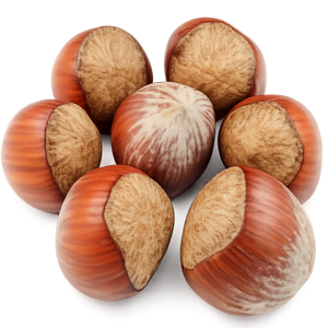hazelnut