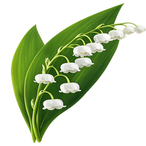 lily of the valley