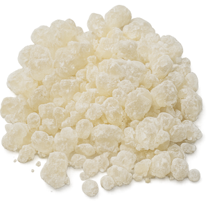mastic or lentisque