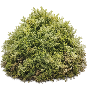 moss