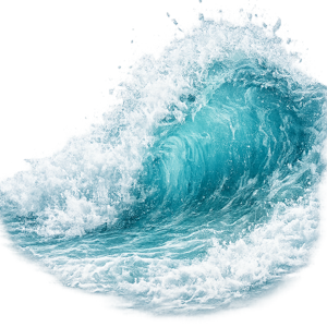 sea
