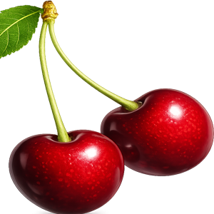 sour cherry