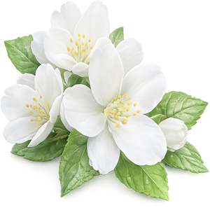 white flower